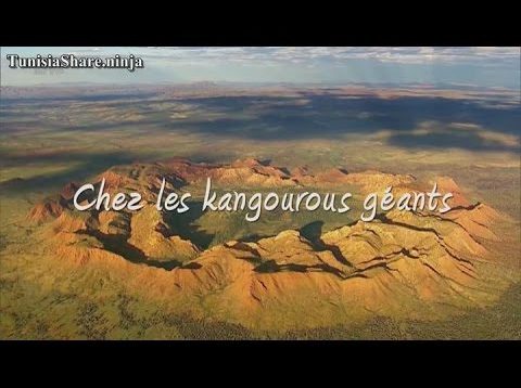 L’ Australie Sauvage Part1 chez les kangourous geants