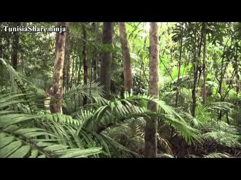 L’ Australie Sauvage Part5 Le recit d une aventure