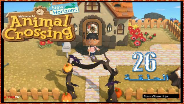 Animal Crossing New Horizons : #26 بداية شهر ديسمبر